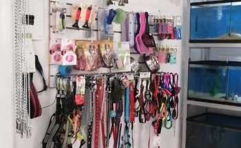 La Perruchería