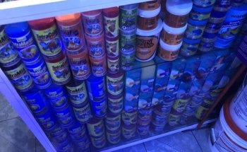Reef Magic México