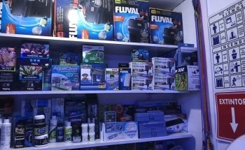 Reef Magic México