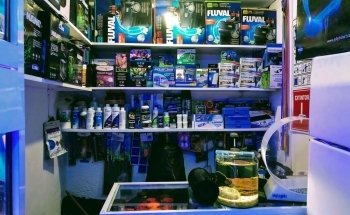 Reef Magic México