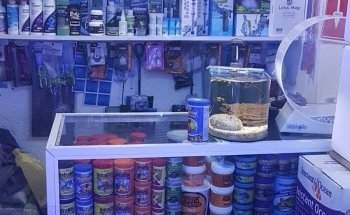 Reef Magic México