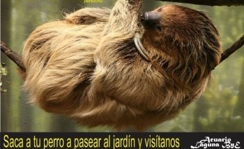 Acuario y Mascotas Laguna ByE