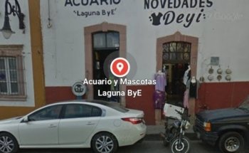 Acuario y Mascotas Laguna ByE