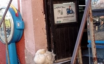 Acuario y Mascotas Laguna ByE
