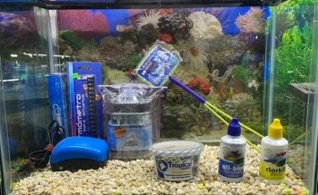Acuario Montiel