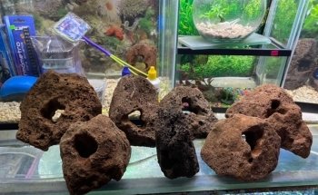 Acuario Montiel