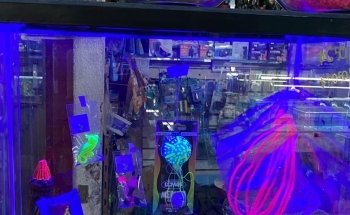 Acuario Montiel
