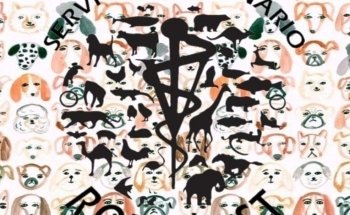 Servicio Veterinario Rottpast