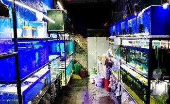 Acuario Petromex