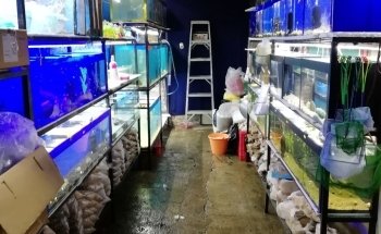 Acuario Petromex