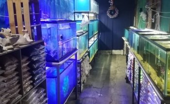 Acuario Petromex