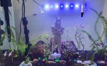 El Jardín de los Peces
