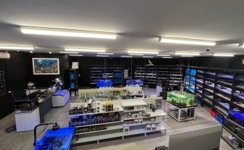 Fantasea Aquariums
