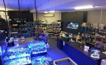 Fantasea Aquariums