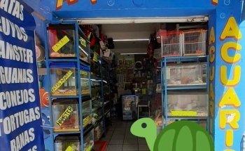 Acuario Aquarium