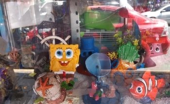 Acuario Aquarium