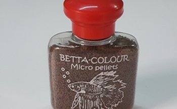 Bettas Hinojosa Collection