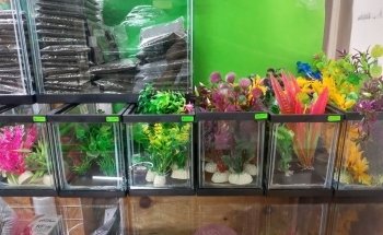 Acuario U&V