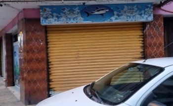 Los Michis Xalapa tienda de mascotas