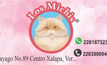Los Michis Xalapa tienda de mascotas