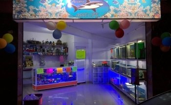 Los Michis Xalapa tienda de mascotas