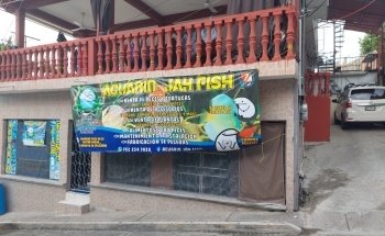 Acuario JAH Fish
