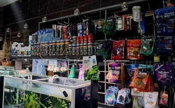 Acuario JAH Fish