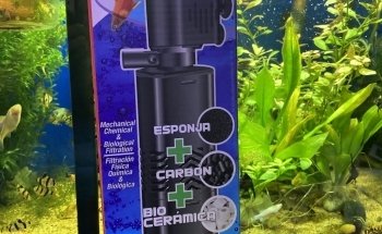 Acuario Aqua Pets