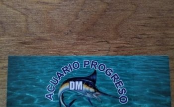 Acuario Progreso