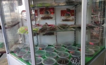 Acuario Progreso