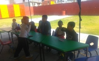 Acuario Rayo