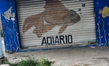 Acuario El Pez Dorado