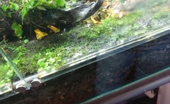 Big Fish Aquarium Boutique