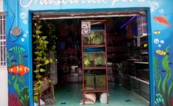 Mascarita Pet's Aquarium