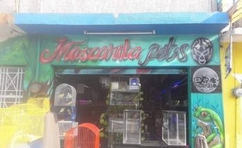 acuario mascarita pet's