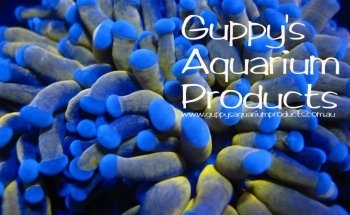 Guppy's Aquarium Products