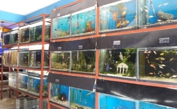 Aquamundo Orizaba