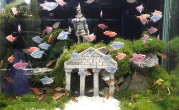 Aquamundo Orizaba