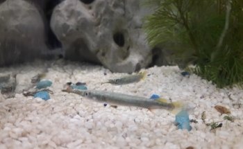 Aquamundo Orizaba