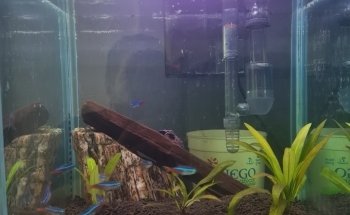 Acuario La Orilla