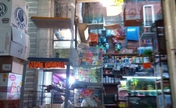 Acuario A y J