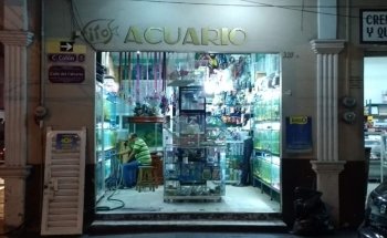 Acuario Fito's