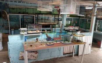 Acuario Triton