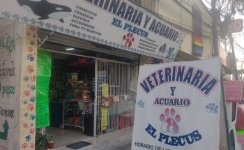 VETERINARIA Y ACUARIO 