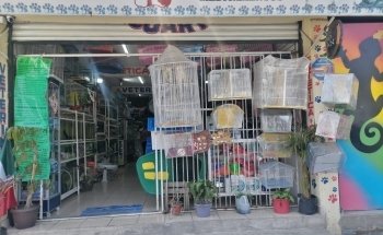 VETERINARIA Y ACUARIO 