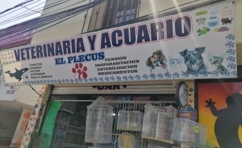 VETERINARIA Y ACUARIO 