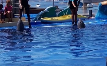 Marineland Mallorca