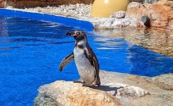 Marineland Mallorca