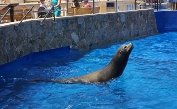 Marineland Mallorca