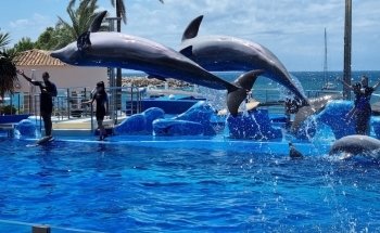 Marineland Mallorca
